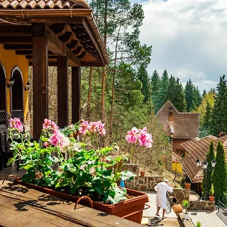 Safari Village Hotel Velingrad