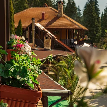 Safari Village Ξενοδοχείο Βέλινγκραντ